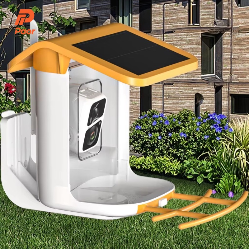 Smart Bird Feeder Camera - Pengumuman Instalasi Aplikasi Wifi Kamera Rumah