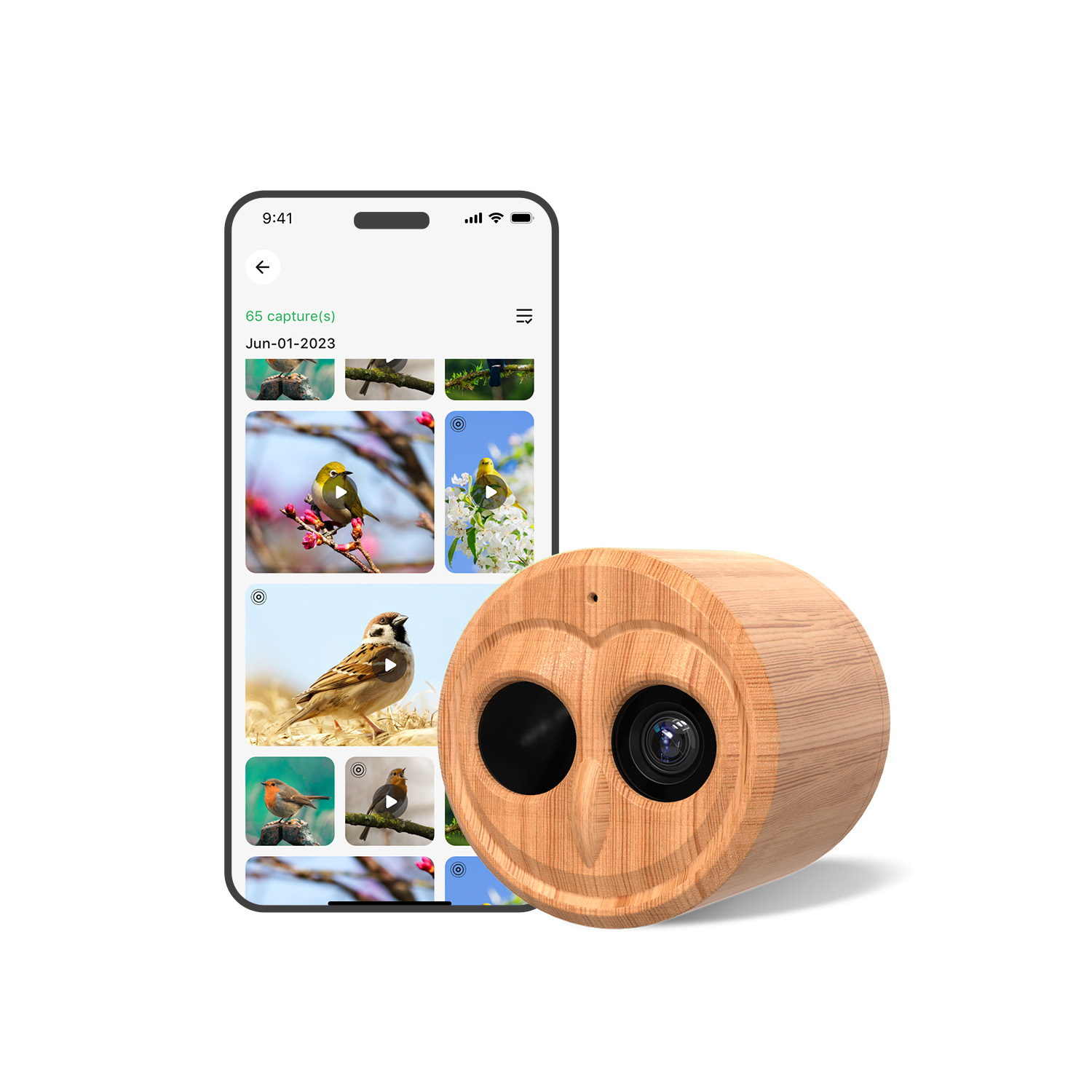 Pengumpan Burung Pintar 4K Den - Smart Bird Feeder Camera ulasan dan harga
