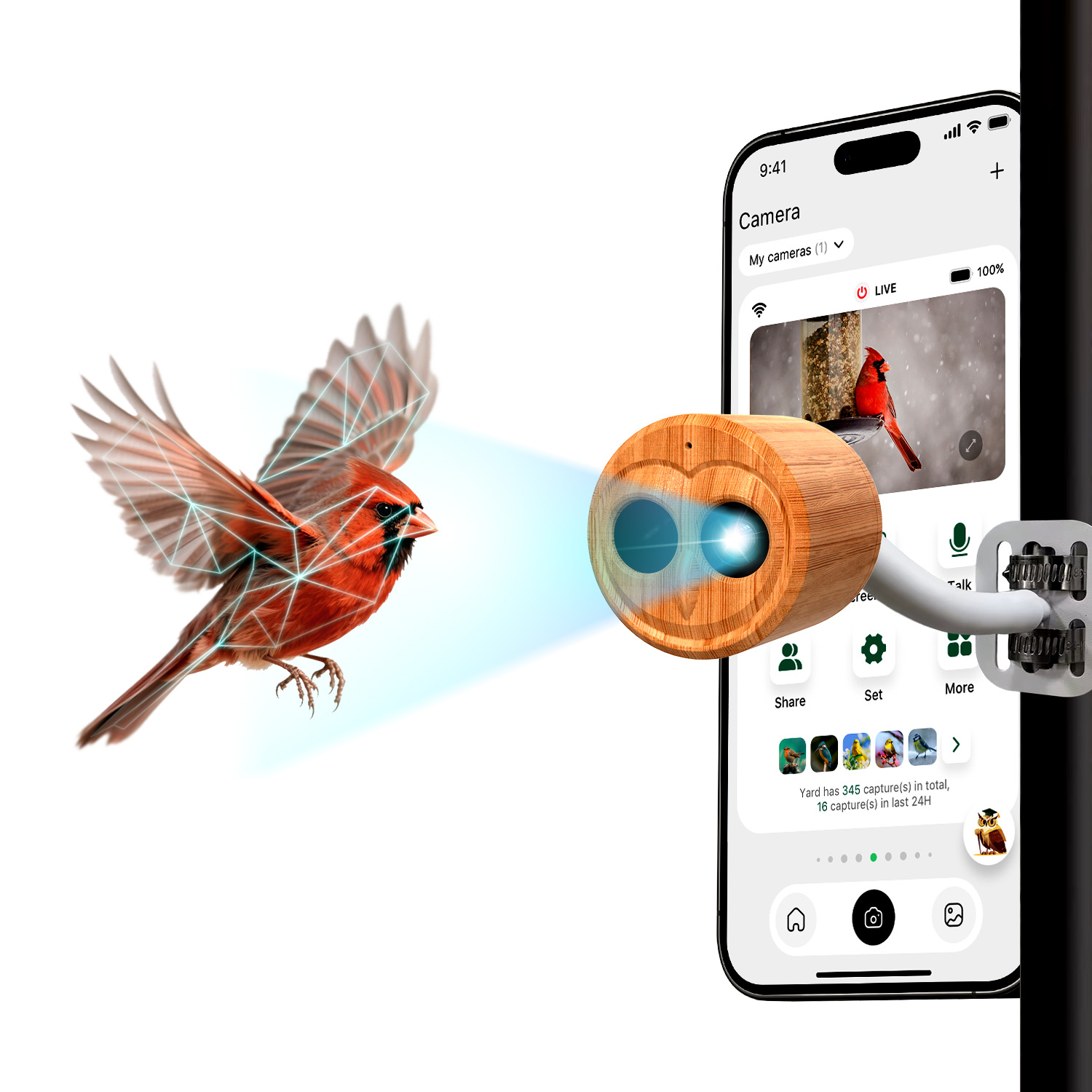 Pengumpan Burung Pintar 4K Den - Smart Bird Feeder Camera ulasan dan harga