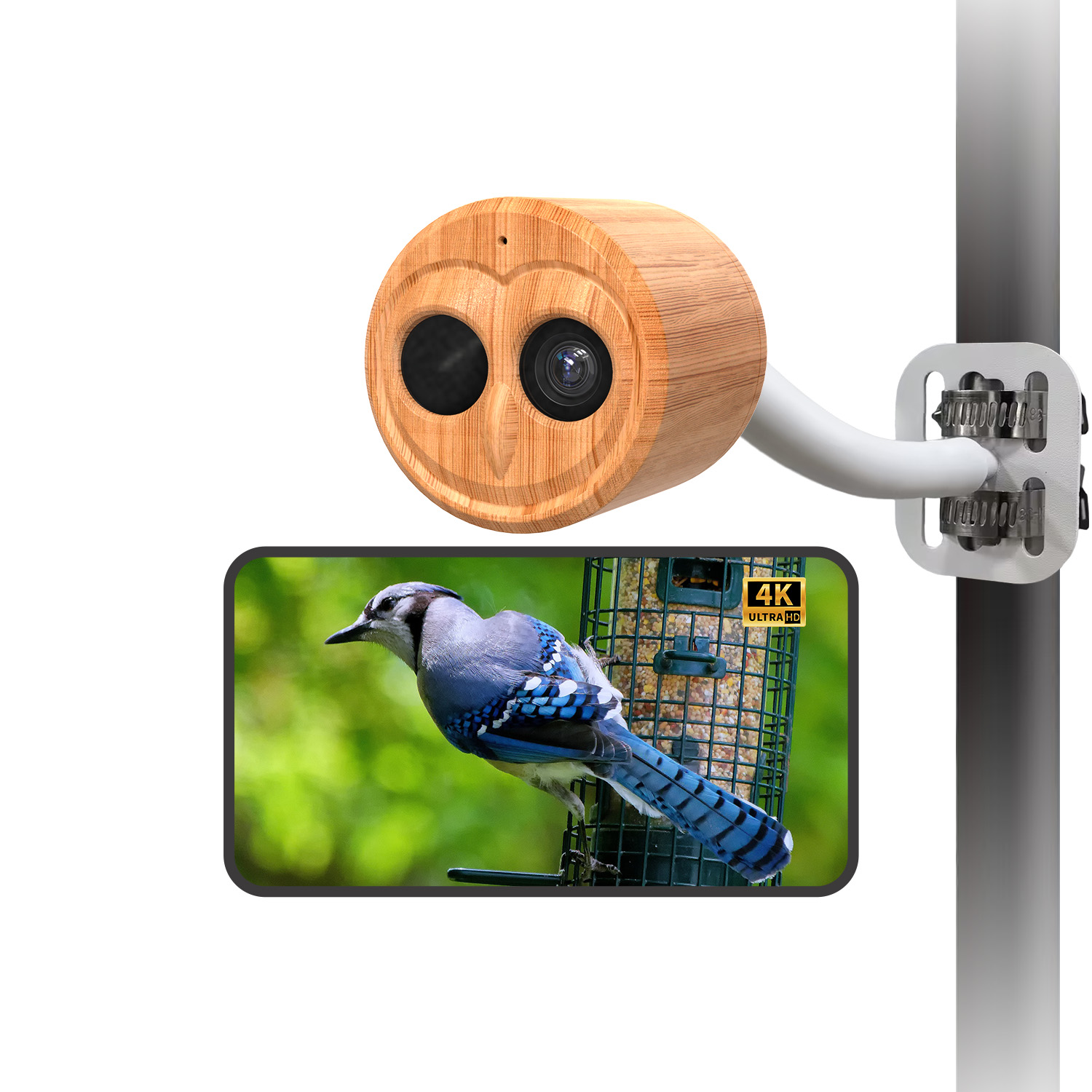 Pengumpan Burung Pintar 4K Den - Smart Bird Feeder Camera ulasan dan harga