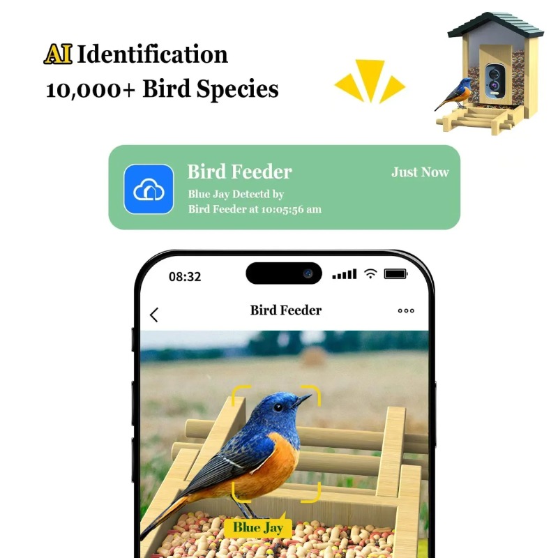 Kamera Pengumpan Burung AI 4K  - Smart Bird Feeder Camera ulasan dan harga