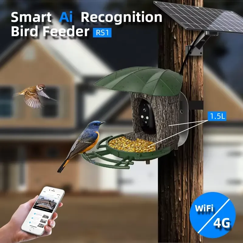Kamera Pengumpan Burung Pintar - Smart Bird Feeder Camera ulasan dan harga