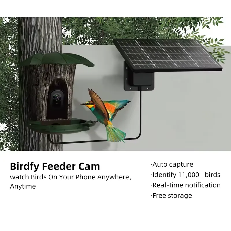 Kamera Pengumpan Burung Pintar - Smart Bird Feeder Camera ulasan dan harga
