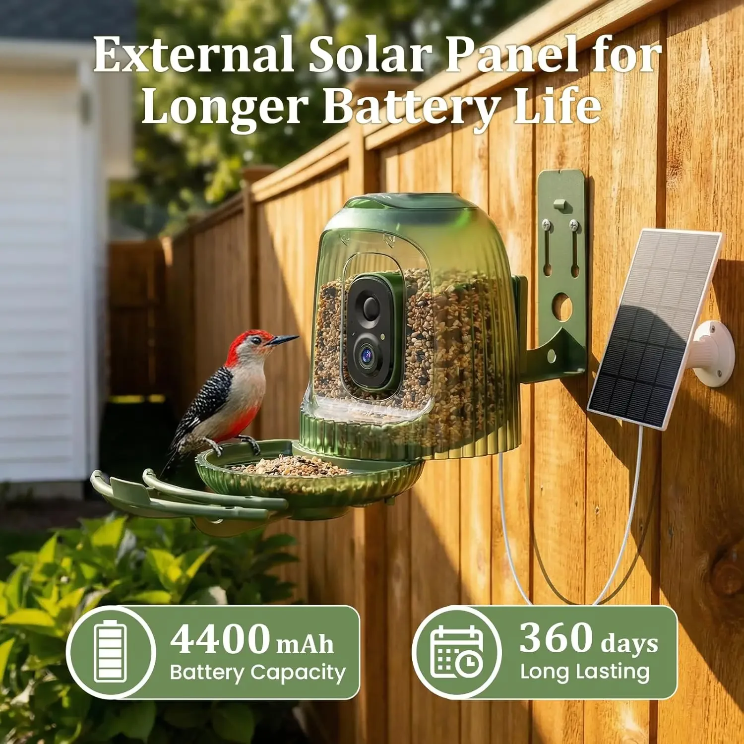 Pengumpan Burung Pintar dengan - Smart Bird Feeder Camera ulasan dan harga