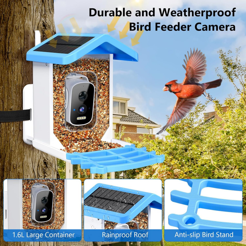 Pengumpan Burung Pintar WiFi d - Smart Bird Feeder Camera ulasan dan harga