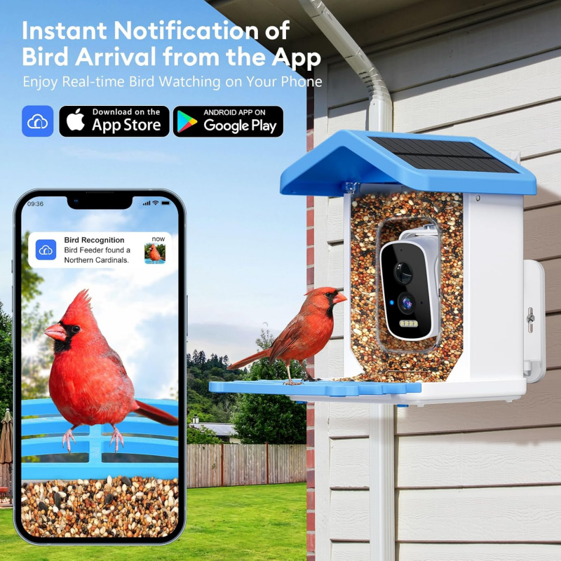 Pengumpan Burung Pintar WiFi d - Smart Bird Feeder Camera ulasan dan harga