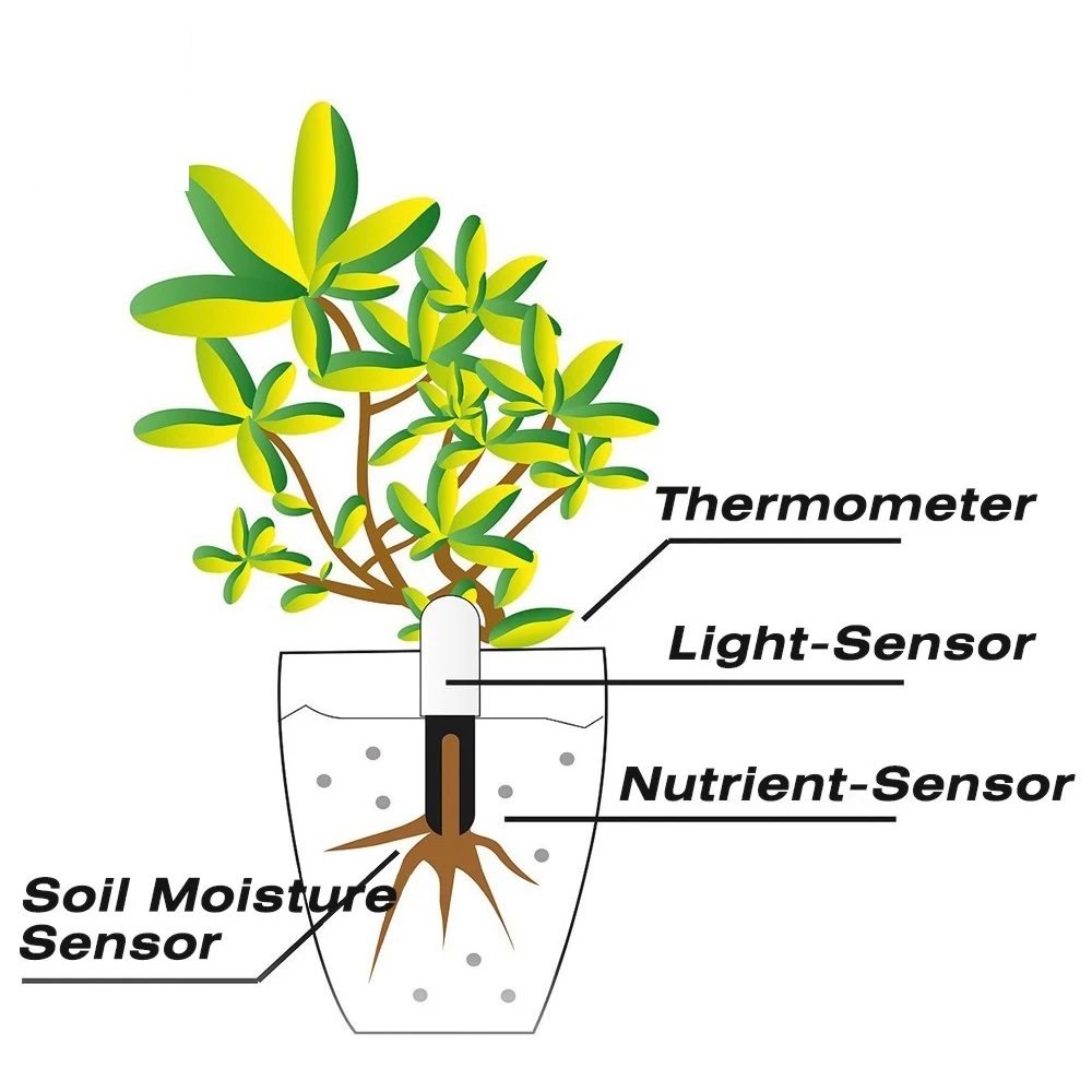 HHCC Monitor bunga detektor be - Smart Garden Products ulasan dan harga