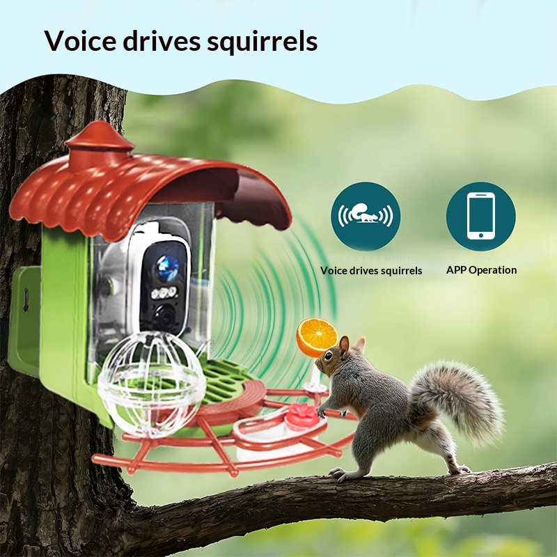 Pengumpan Burung Otomatis Bert - Smart Bird Feeder Camera ulasan dan harga
