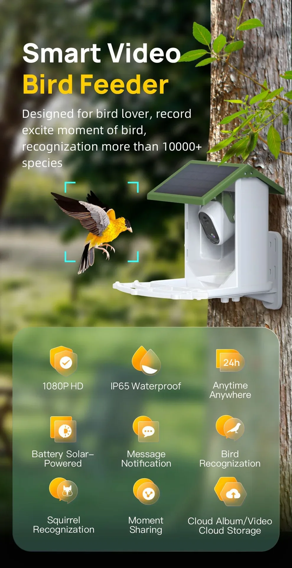 Pengumpan burung liar lintas b - Smart Bird Feeder Camera ulasan dan harga